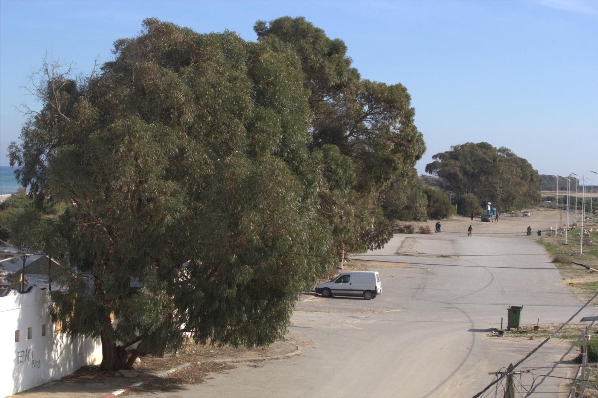 Residence Sterne Hammam al Ghazzaz Luaran gambar