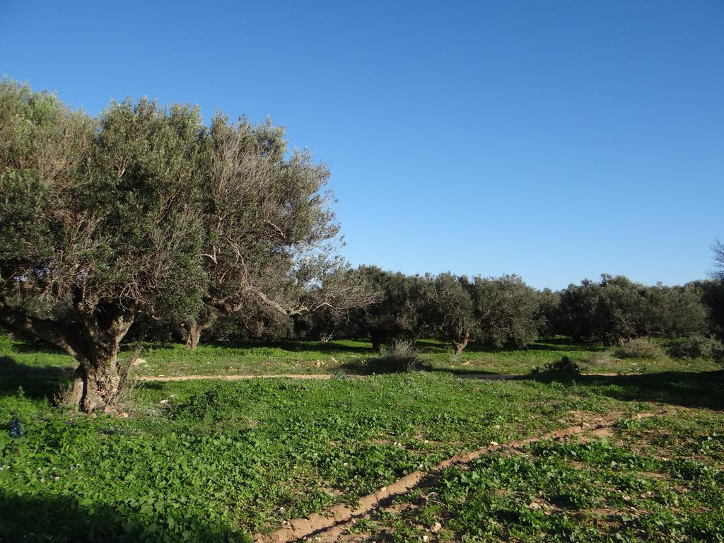 Residence Sterne Hammam al Ghazzaz Luaran gambar